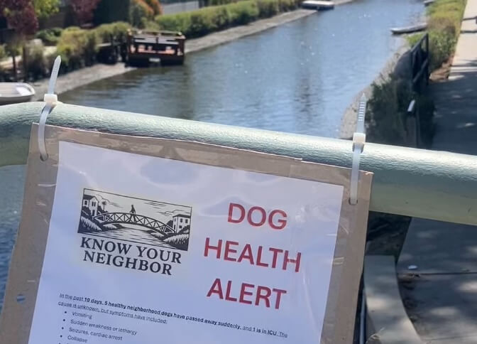 County Unable to Find Cause After Investigation into Venice Canal Dog Deaths