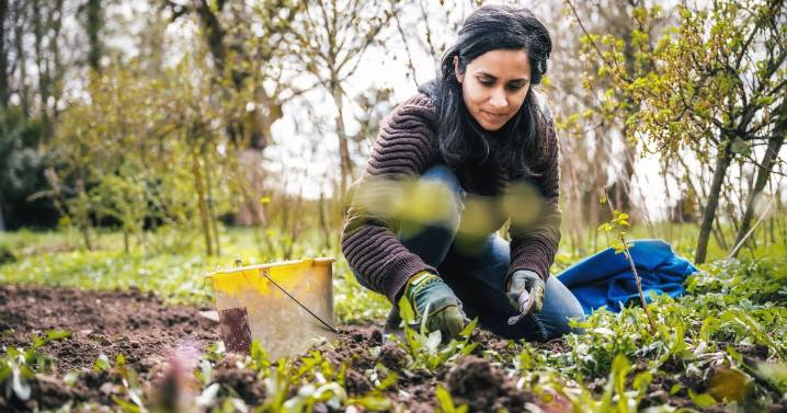 Top gardener says common fruit makes soil 'less hospitable for weeds'