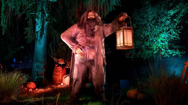 Harry Potter ‘Forbidden Forest’ opens in Ingleside