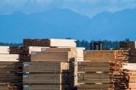 Lumber industry warns of crisis as B.C. and Ottawa prepare for softwood summit
