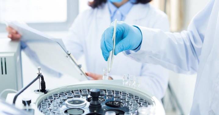 Researchers Win Nobel Prize for Uncovering How the Immune System Protects Itself