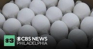 Millions of eggs distributed nationwide recalled for salmonella concerns