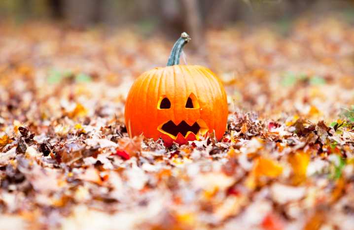 Did you wake up to snow this morning? Here is what to expect for this ‘Halloweekend.’