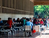 Medellín registra inflación superior al promedio nacional: estos fueron los precios que más subieron