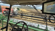 Hidalgo: Pese a lluvias, alrededor del 50% de la cebada ya está trillada