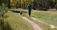 Avenger Open Space: A first in Woodland Park