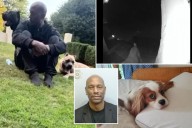 'Fast and Furious' star Tyrese Gibson arrested after his dogs killed neighbor's pooch outside Georgia home