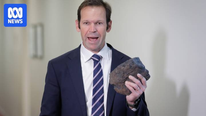 Nationals' net zero review has not undertaken economic modelling