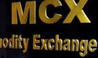 MCX trading halted for over four hours due to technical glitch, probe initiated