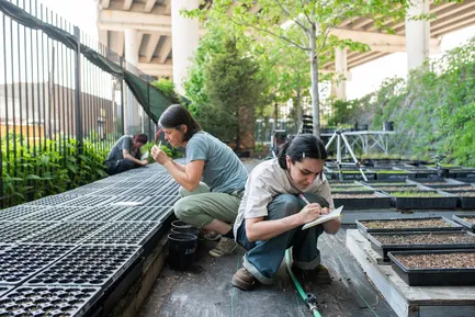 In a filthy corner of North Brooklyn, a plant nursery thrives