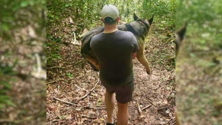 Hiker Finds Injured Dog In South Carolina Woods, Then Strangers Rally To Save Her