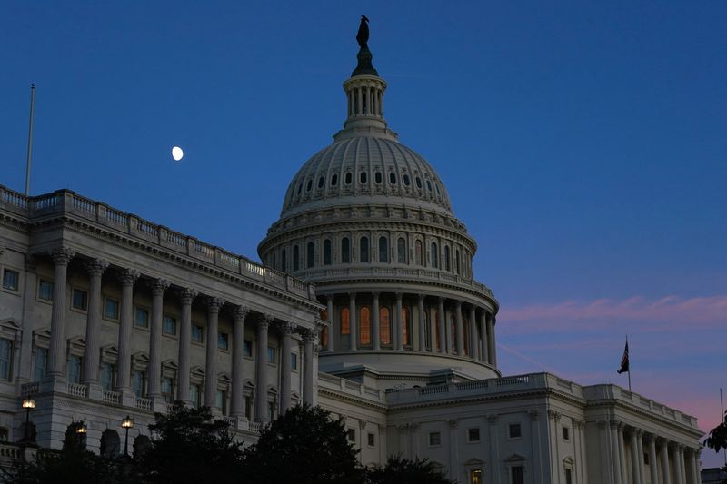Morning Bid: US politics can't shut down the animal spirits