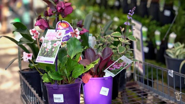 Shade Made - Gardening Australia