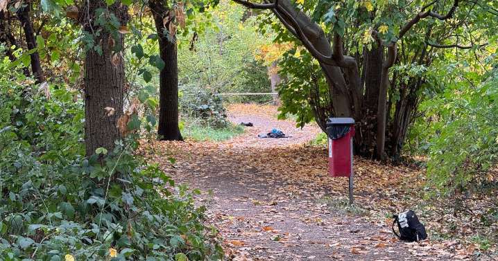 Third Catford stabbing in five days sees teenage boy rushed to hospital