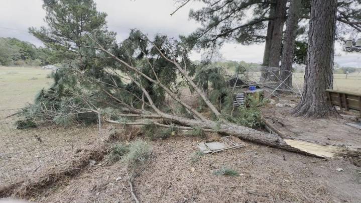 National Weather Service to survey storm damage in Lindale, Kilgore