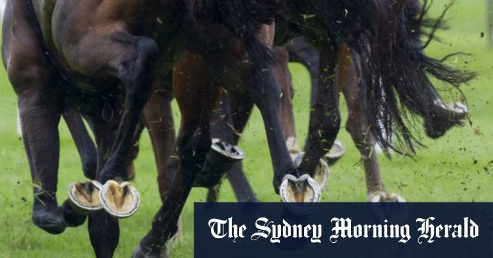 Southerly Buster ready to upset favourites at Newcastle