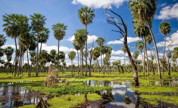 Turismo en Formosa: alta participación recreativa durante el fin de semana largo