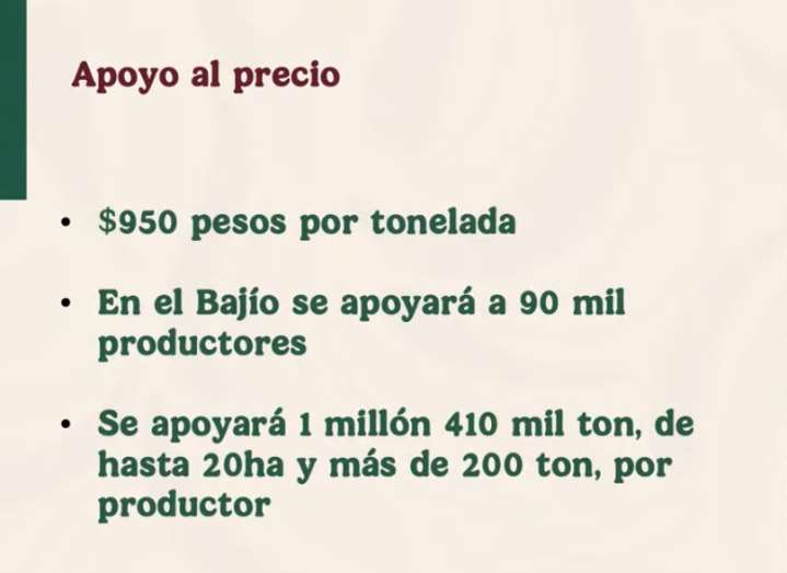 Gobierno federal y estatales apoyarán a productores de maíz.