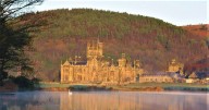 Stunning park an hour's drive from Bristol has creepy castle and stunning wild beasts