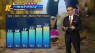 Warm and breezy, shower chance this evening