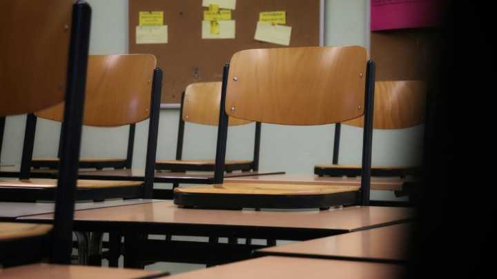 Experto y "estancamiento" de la educación en Chile: "Es un pantano donde nada florece"