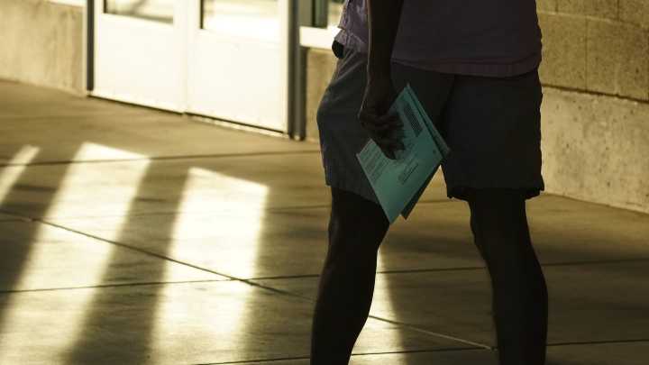 An Arizona 'blue wave' may need more green, purple voters than usual