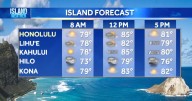 Aloha Friday Weather | Strong trades, limited showers, and fire risk continue