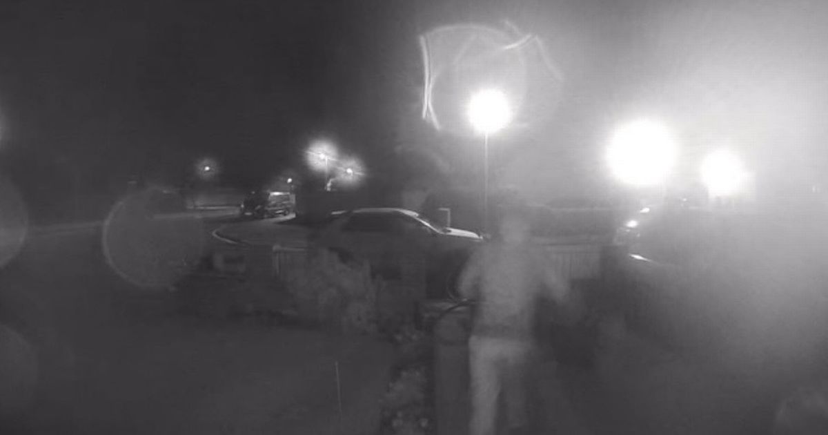 Moment East Lothian thief caught on doorbell camera as local makes grim discovery