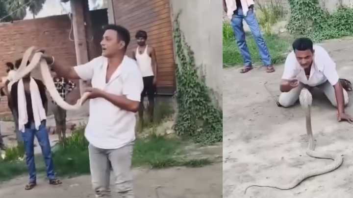 Reconocido ‘domador’ de cobras falleció luego de ser mordido durante una demostración pública