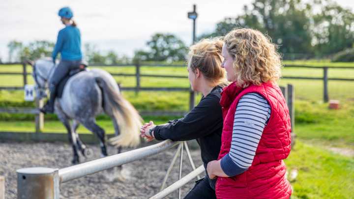 New paperwork when buying horses and other key horse world stories