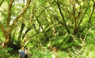 El refugio sin celular ni wifi en el corazón de las yungas jujeñas