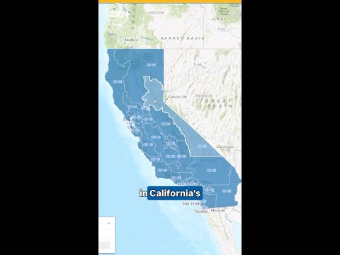 Another Kiley challenger joins CA