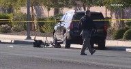 12-year-old girl on bike struck by school bus, marking 2nd Las Vegas student to die in crash in 1 week