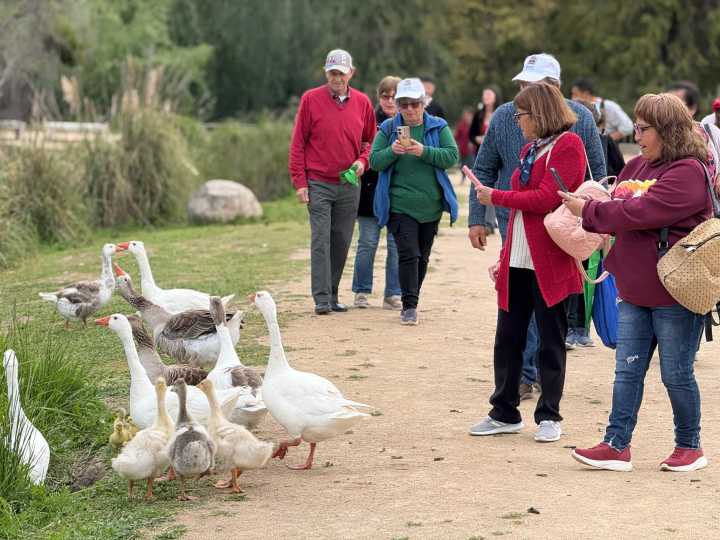 Adultos mayores de Pelarco en tour por Jardín Botánico