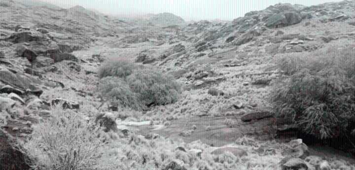 Córdoba amaneció blanca en plena primavera: las impactantes imágenes de La Cumbrecita bajo la nieve