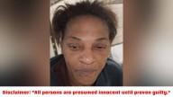 Baton Rouge mother accused of injuring 13