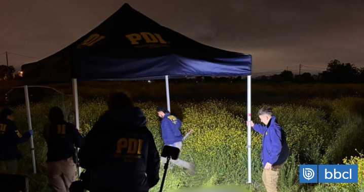 Hallan cuerpo mutilado en sitio eriazo en La Pintana