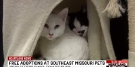 Trend Setters and SEMO Pets team up to provide