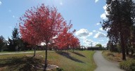 Spokane Valley announce changes at parks due to recent winterization