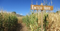 7 best things to do in Colorado this weekend: Oct. 10
