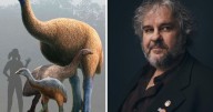 Peter Jackson quiere revivir al gigante moa: el director de El Señor de los Anillos busca traer de vuelta al ave extinta (VIDEO)