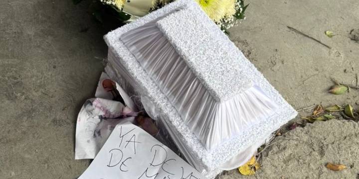 Amenazan a fundadora de refugio de animales tras denunciar presunta desaparición de perros por instituciones en Edomex