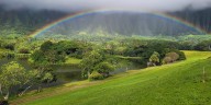 Public poll votes in favor of weekly ‘day of rest’ for Hoomaluhia Botanical Garden
