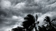 When October turns deadly; Odisha’s repeating pattern of cyclones from 1999 super cyclone to Montha
