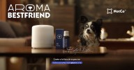 ¿El producto perfecto para quienes deben dejar a su perro solo en casa?