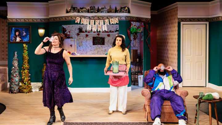 Jeff Daniels' wild 'Norma & Wanda' draws belly laughs at Purple Rose