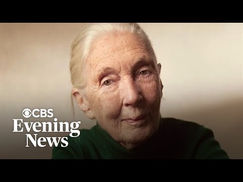 Reporter's Notebook: Jane Goodall's legacy