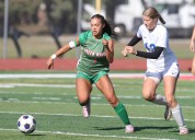 5 different players strike to send Green Wave past Wolves in Section 8A semifinals