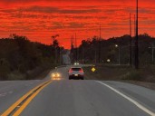 Why You Should Take A Stroll On This Warrick County Road