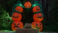 Top Halloween events in Sarasota, Bradenton, Venice, Port Charlotte